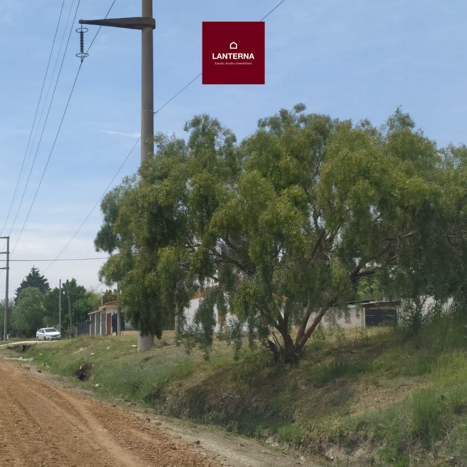 SE VENDEN TERRENOS EN SAN BENITO