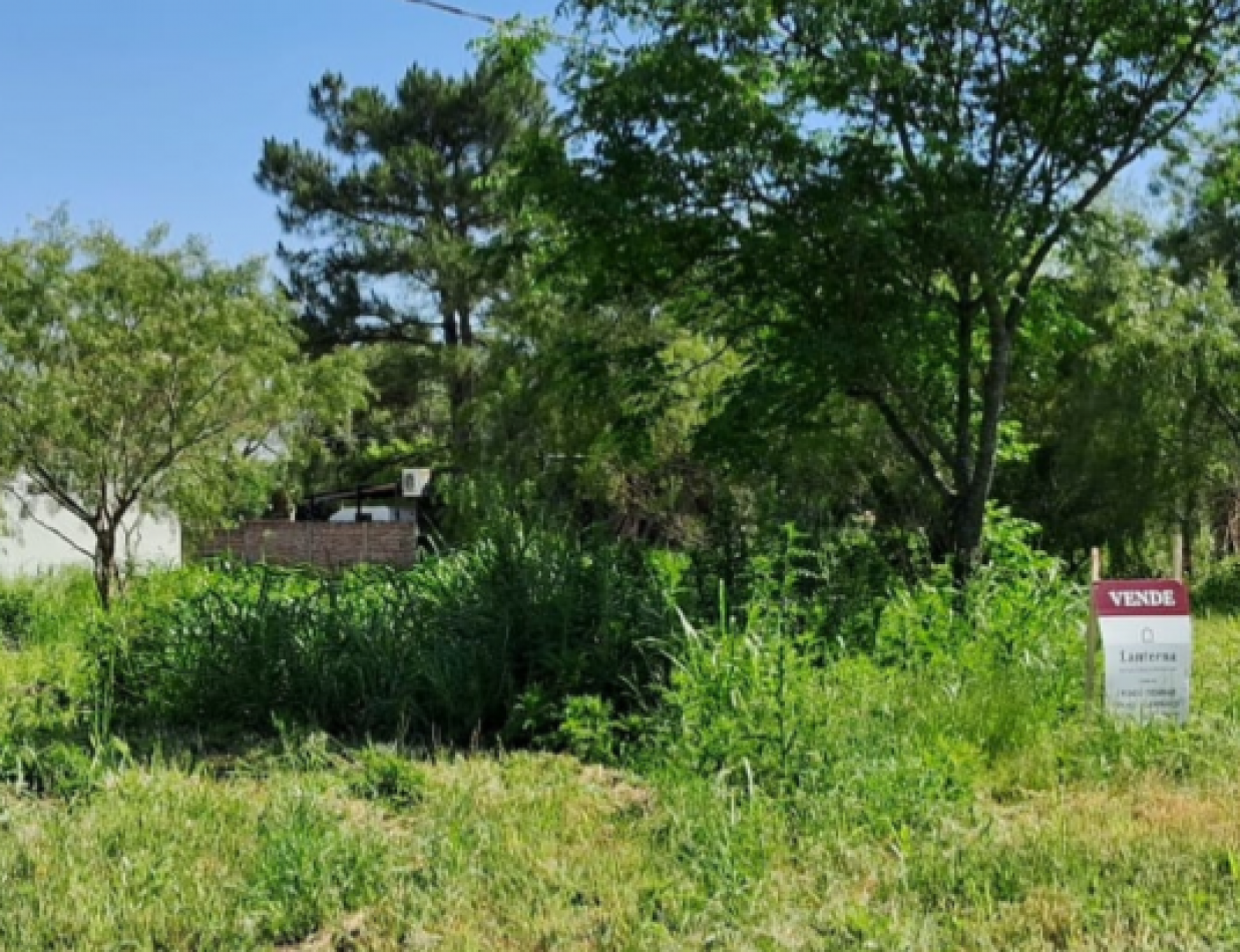 SE VENDE TERRENO DE 600M2 EN SAUCE MONTRULL