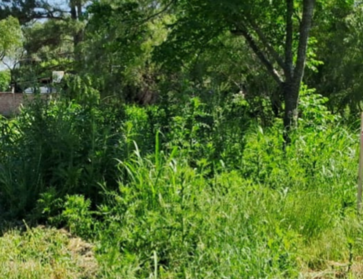 SE VENDE TERRENO DE 600M2 EN SAUCE MONTRULL